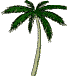 animated20palm.gif